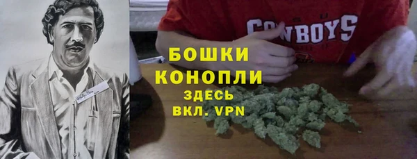 соль ск Алексеевка