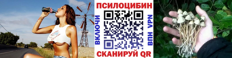 shop состав  Данков  Галлюциногенные грибы GOLDEN TEACHER 